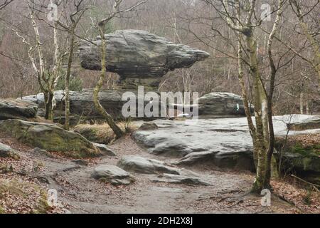 Steinformationen von Toadstool und Schildkröte in den Grossen Tisa Felsen (Velké Tiské stěny) in der Böhmischen Schweiz (České Švýcarsko) in Nordböhmen, Tschechien. Stockfoto