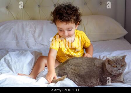 Farben 2021 grau und gelb. Kleiner Junge auf dem Bett mit seiner grauen Katze entspannen. Portrait eines kleinen niedlichen Kindes in gelbem T-Shirt, das mit einer britischen Katze spielt. Selektiver Fokus auf das Baby. Stockfoto