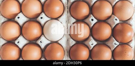 Metapher für anderes oder Außenseiter: Braune Eier und ein weißes Ei in einem Korb Stockfoto