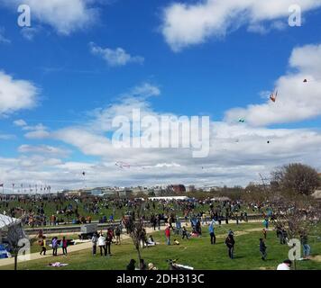 WASHINGTON, DC - 01. April 2017: Eine große Menge von Erwachsenen und Kindern fliegen Drachen beim Kite Festival in der National Mall, neben der Washington M Stockfoto