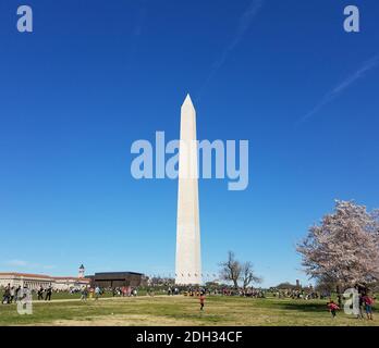 WASHINGTON DC, USA - 2. APRIL 2017: Der Obelisk des George Washington Memorial von der National Mall aus gesehen, mit Touristen, die sich während des jährlichen Cherr entspannen Stockfoto