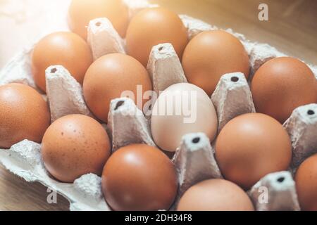 Metapher für anderes oder Außenseiter: Braune Eier und ein weißes Ei in einem Korb Stockfoto