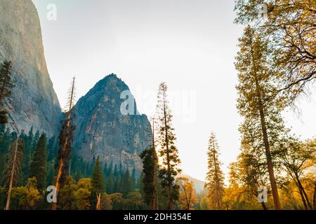 Granitgipfel über den Bäumen und dem Tal im Yosemite Stockfoto