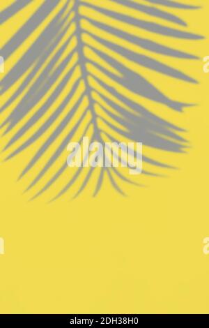 Abstrakter Hintergrund mit Palmschatten. Getöntes Foto. Leuchtende und Ultimate Grey Farben des Jahres 2021 Stockfoto