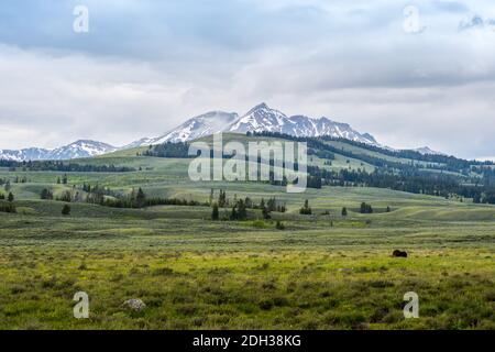 Einen schönen Blick auf den Blick auf die Natur im Yellowstone Nationalpark, Wyoming Stockfoto