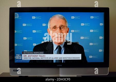 Ein Fernsehbildschirm von Dr. Anthony Fauchi, der in der PBS NewsHour Daily News ausgestrahlt wird. Stockfoto