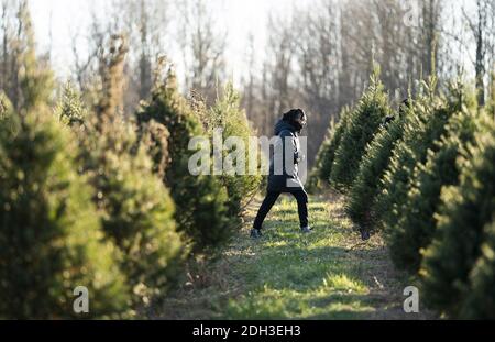 Germantown, Usa. Dezember 2020. Am 6. Dezember 2020 sucht eine Person auf einer Weihnachtsbaumfarm in Germantown, Maryland, nach einem Baum, der sie abschneiden soll. Die Nation steht vor einem Weihnachtsbaummangel aufgrund einer Vielzahl von Gründen, die einige vermuten, könnte durch die COVID-19 Pandemie verursacht werden, Kalifornien Waldbrände und der letzten wirtschaftlichen Abschwung zwingt die Erzeuger, das Geschäft zu verlassen. Foto von Kevin Dietsch/UPI Kredit: UPI/Alamy Live News Stockfoto