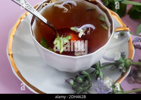 Kräutertee mit Salbei und Minzblättern. Stockfoto