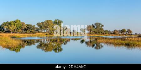 Typische afrikanische Flusslandschaft, Bwabwata, Namibia Stockfoto