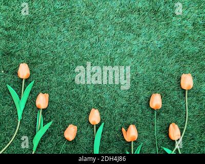 Rosafarbene Tulpenblumen Grenzen auf Grasgrund Stockfoto