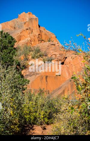 Felsige Landschaft in Colorado Springs, Colorado Stockfoto