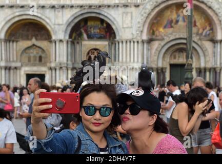 KEINE WEB/KEINE APPS - Asiatische Touristen machen Selfies und spielen mit Tauben auf dem Markusplatz, dem Zentrum der touristischen Schwerkraft in Venedig, Italien am 12. August 2017. Tauben füttern ist gegen das Gesetz. Die Stadt Venedig, die von Touristen überfallen wird, riskiert, ‘D„Inselland am Meer“ zu werden. Die meisten Venezianer verachten die giganten Kreuzfahrtschiffe, die jeden Tag durch den Giudecca-Kanal schaufeln, Dämpfe aussenden, die zu Erosion des Watts und Sedimentverlust führen, bevor sie Tausende von Menschen in das historische Zentrum verschleppen. Egal ob durch Selfie-Sticks, laute Wheelie-Koffer oder Leute, die auf einem schnappen irritiert Stockfoto