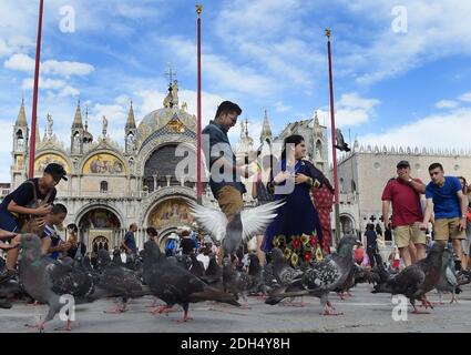 KEINE WEB/KEINE APPS - Touristen spielen mit Tauben auf dem Markusplatz, dem Zentrum der touristischen Schwerkraft in Venedig, Italien am 12. August 2017. Tauben füttern ist gegen das Gesetz. Die Stadt Venedig, die von Touristen überfallen wird, riskiert, ‘D„Inselland am Meer“ zu werden. Die meisten Venezianer verachten die giganten Kreuzfahrtschiffe, die jeden Tag durch den Giudecca-Kanal schaufeln, Dämpfe aussenden, die zu Erosion des Watts und Sedimentverlust führen, bevor sie Tausende von Menschen in das historische Zentrum verschleppen. Ob durch Selfie-Stöcke, laute Wheelie-Koffer oder Leute genervt auf einer der 391 Brücken, Venetian Stockfoto