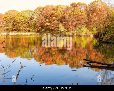 Orange, rote und gelbe Blätter gefüllt Wald von Bäumen säumten einen See und spiegelte sich im Wasser des Sees auf schöne Herbst Landschaft an einem Herbsttag Stockfoto