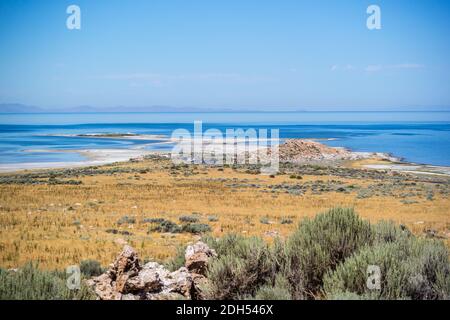 Ein Blick auf die Natur im Antelope Island State Park, Utah Stockfoto