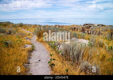 Ein herrlicher Blick auf die Landschaft im Antelope Island State Park, Utah Stockfoto