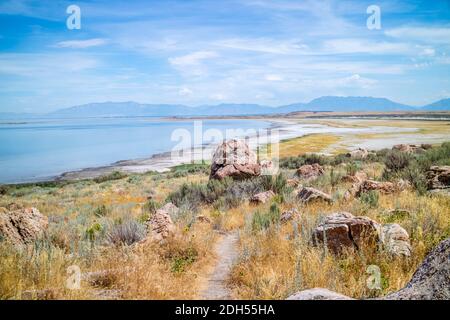 Ein Blick auf die Natur im Antelope Island State Park, Utah Stockfoto