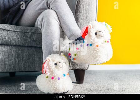 Junges Mädchen in niedlichen weichen 3d-Lama Hausschuhe Stockfoto