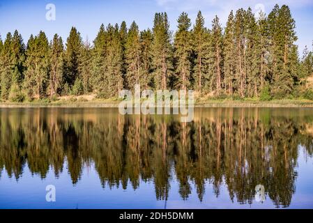 Naturreflexionen am Wildnissee im bundesstaat washington Stockfoto