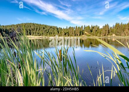 Naturreflexionen am Wildnissee im bundesstaat washington Stockfoto