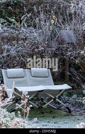 Übergang der schönen Natur vom Herbst zum Winter im Norden Deutschland Stockfoto