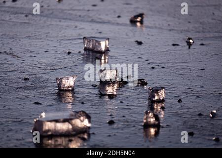 Übergang der schönen Natur vom Herbst zum Winter im Norden Deutschland Stockfoto