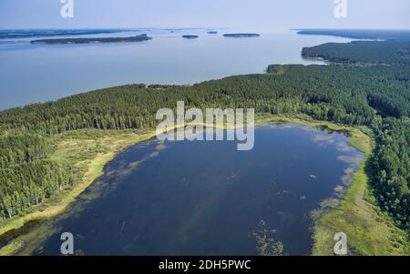 Luftaufnahme eines sumpfigen Sees im Karakansky Kiefernwald nahe dem Ufer des ob Stausees. Stockfoto