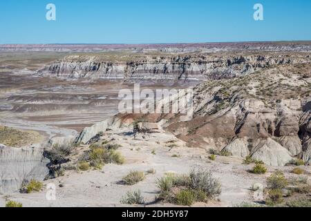 Die Blue Mesa Trail im Petrified Forest National Park, Arizona Stockfoto