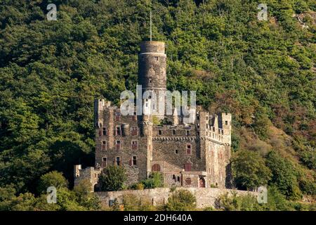 Schloss Reichenstein am Rhein Stockfoto