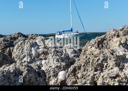 Foto eines Segelbootes in der Entfernung vom Strand hinter einer Ufermauer. Stockfoto