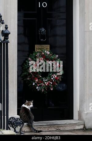 London, Großbritannien. Dezember 2020. Larry, eine Katze, die Chief Mouser zum Kabinettsbüro in der Downing Street 10 genannt wird, sitzt am 9. Dezember 2020 außerhalb der Downing Street 10 in London, Großbritannien. Larry ist seit 2011 im britischen Kabinett tätig. Quelle: Han Yan/Xinhua/Alamy Live News Stockfoto