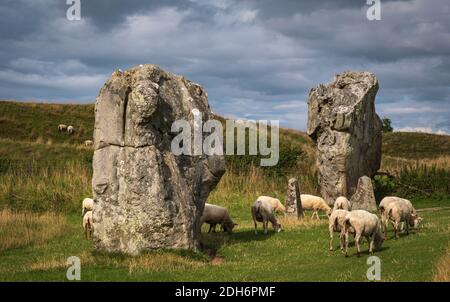 Beeindruckende stehende Steine aus dem historischen Kreis in Avebury Wiltshire. Schafe können zwischen den massiven Felsen grasen gesehen werden. Stockfoto