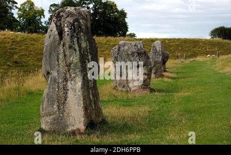 Beeindruckende stehende Steine aus dem historischen Kreis in Avebury Wiltshire. Schafe können zwischen den massiven Felsen grasen gesehen werden. Stockfoto