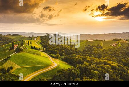 südsteiermark Weinberge Luftlandschaft. Im Sommer Blick auf die Traubenhügel von der Weinstraße. Touristenziel, Reiseziel. Stockfoto