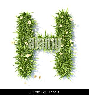 Grass Schrift Buchstabe H 3D Stockfoto