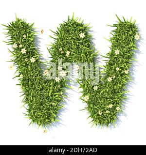 Grass Schrift Buchstabe W 3D Stockfoto