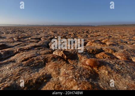 Laguna Ratosa Naturschutzgebiet in Zeiten der Trockenheit in Antequera, Malaga. Andalusien, Spanien Stockfoto