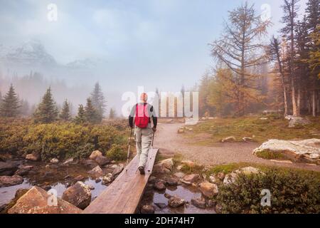 Herbst in Kanada Stockfoto