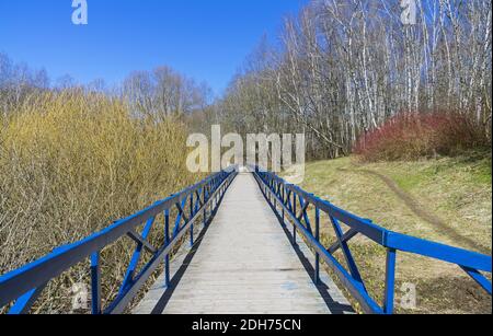 Hölzerner Steg über der sumpfigen Schlucht. Stockfoto