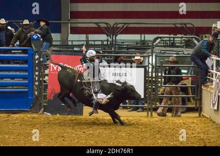 Houston, USA. Dezember 2020. Ein junger Cowboy tritt am 9. Dezember 2020 bei den World Finals 2020 für den International Miniature Bull Rider Wettbewerb in Mesquite, Texas, USA, an. Mehr als 260 Teilnehmer haben sich dem von der International Miniature Bullrider's Association organisierten Wettbewerb angeschlossen. Quelle: Dan Tian/Xinhua/Alamy Live News Stockfoto