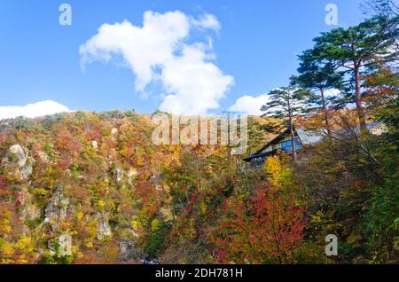 Herbstfarben der Naruko-Schlucht in Miyagi, Tohoku, Japan Stockfoto