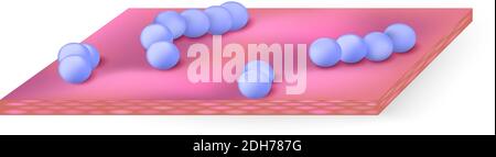 Die Bakterien auf der Hautoberfläche (in den Atemwegen oder Verdauungstrakt). Streptococcus ist eine Gattung sphärische Gram-positive Bakterien Stock Vektor