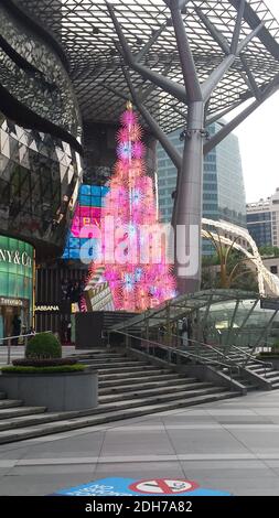 SINGAPUR, SINGAPUR - 11. Nov 2019: Ein elektrischer Weihnachtsbaum in Pink, beleuchtet am Tag vor einer Mall für Top-Marken an der Orchard Road Stockfoto