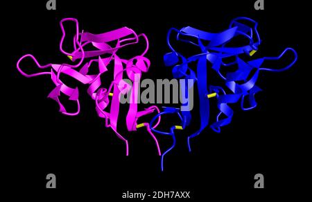 Ein 3D-Cartoon-Modell des menschlichen CD69 Transmembrane C-Typ Lektin-Proteins, schwarzer Hintergrund Stockfoto