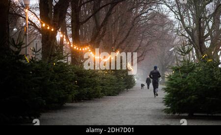 Hannover, Deutschland. Dezember 2020. Ein Mann joggt an einem Weihnachtsbaumverkauf im Morgengrauen vorbei. Kredit: Julian Stratenschulte/dpa/Alamy Live Nachrichten Stockfoto