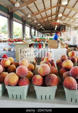 Frische Pfirsiche auf dem North Carolina State Farmers Market in Raleigh, NC Stockfoto