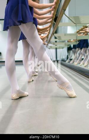 Kleine Ballerinas mit Barre beim Üben im Tanzstudio.Ballerinas sind alle für den Unterricht in passenden Trikots, Strumpfhosen und Ballettschuhen gekleidet. Stockfoto