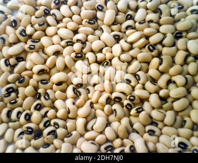 Ein Hintergrund von schwarzen Augen Bohnen (vigna ungiculata). Quelle für Protein und Ballaststoffe. Overhead-Aufnahme. Stockfoto