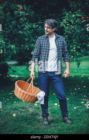 Volle Länge des Mannes, der Korbkorb am Apfelgarten trägt Stockfoto