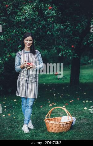 In voller Länge Porträt von lächelnden Frau hält frische Äpfel an Obstgarten Stockfoto